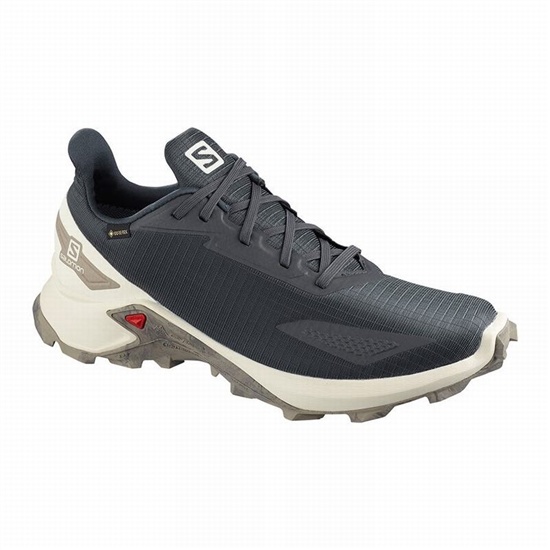 Salomon ALPHACROSS BLAST GTX Trailove Bezecke Tenisky Panske Tmavo Siva | 25498HFWJ