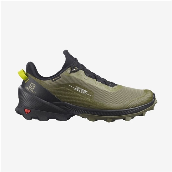Salomon CROSS OVER GTX Turisticke Topanky Panske Zelene | 40678CBTI