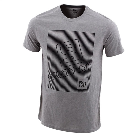 Salomon FINELINE SS B Tricko Detske Siva | 16570CMWH