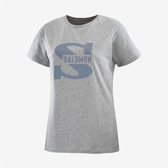 Salomon OUTLIFE BIG LOGO Kratke Sleeve Tricko Damske Siva | 38645KPCN