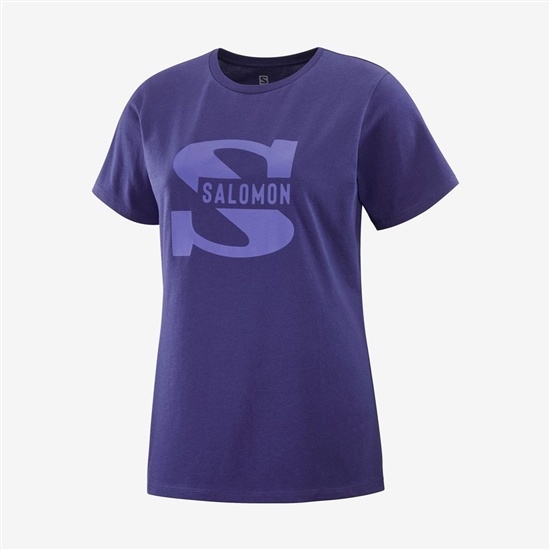 Salomon OUTLIFE BIG LOGO Kratke Sleeve Tricko Damske Nachový | 54186IZQU