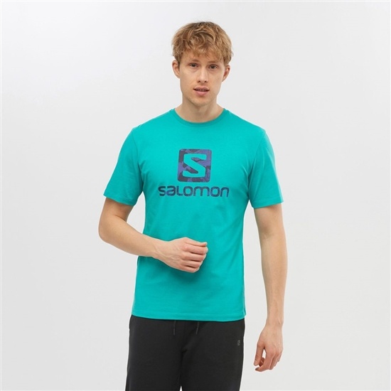 Salomon OUTLIFE LOGO Kratke Sleeve Tricko Panske Mätové | 57821TWBI