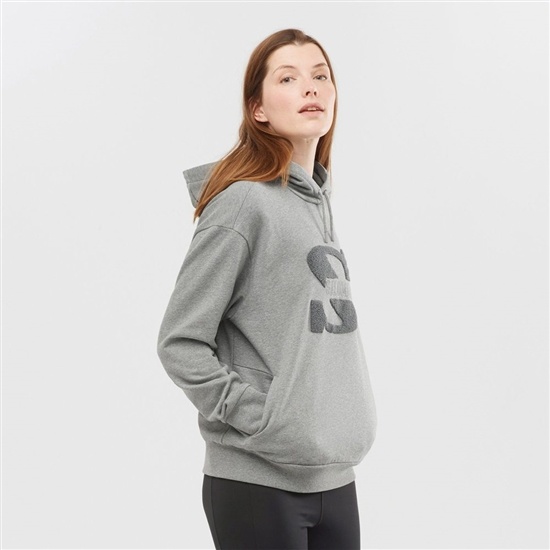 Salomon OUTLIFE LOGO SUMMER Hooded Pulovre Damske Siva | 78410GOLA