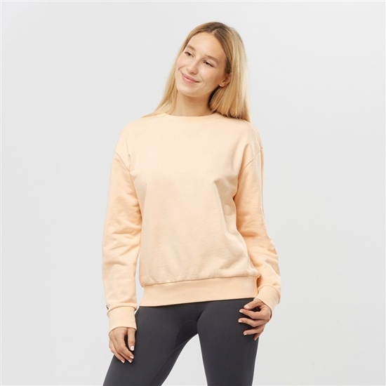 Salomon OUTLIFE SUMMER Crewneck Pulovre Damske Béžové | 02516DNML