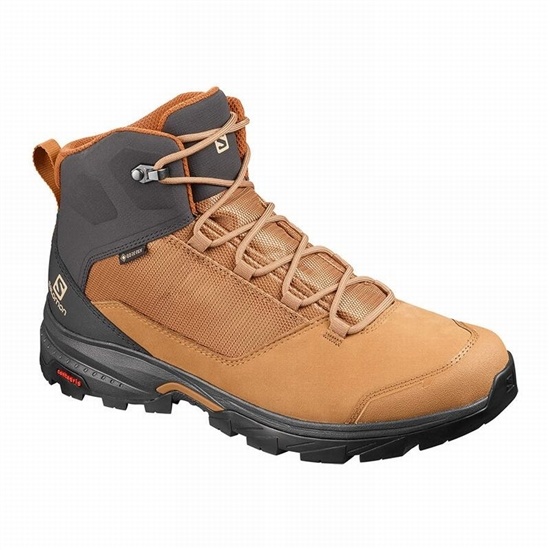 Salomon OUTWARD GORE-TEX Turisticke Topanky Panske Hnede | 12679KGOP