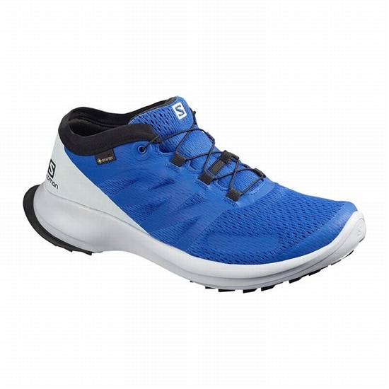 Salomon SENSE FLOW GTX Trailove Bezecke Tenisky Panske Modre | 98067CSIX