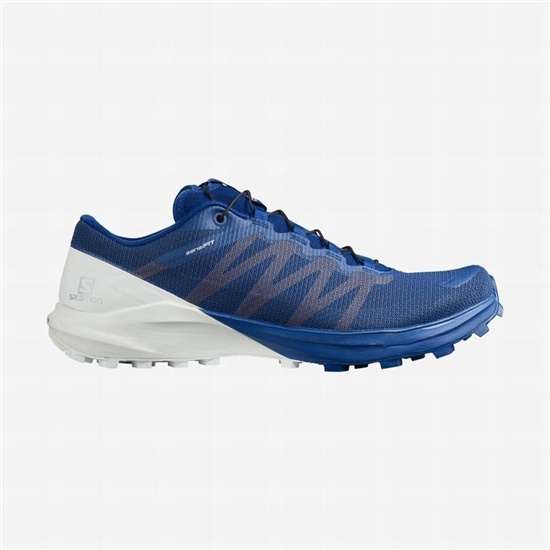 Salomon SENSE PRO 4 Trailove Bezecke Tenisky Panske Biele / Marhule | 59287BQIM