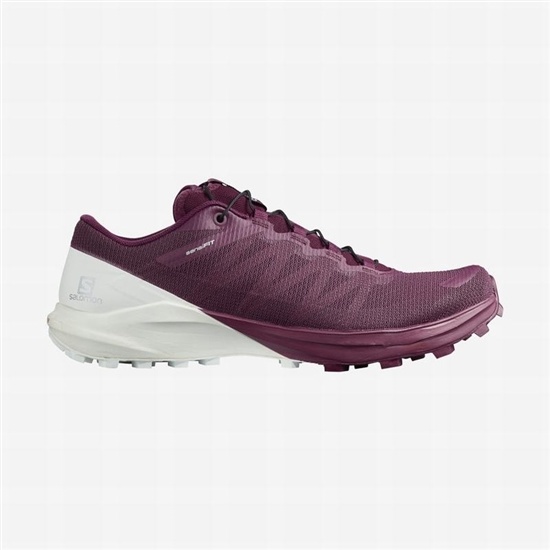 Salomon SENSE PRO 4 Trailove Bezecke Tenisky Damske Nachový / Biele | 89014IRVU