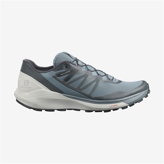 Salomon SENSE RIDE 4 Trailove Bezecke Tenisky Panske Mätové | 68714IOWC