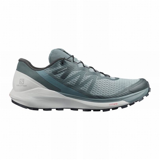 Salomon SENSE RIDE 4 Trailove Bezecke Tenisky Panske Zelene | 70431FDYJ