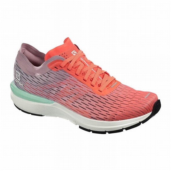 Salomon SONIC 3 ACCELERATE W Bezecke Topanky Damske Hnede / Biele | 97560NGWI