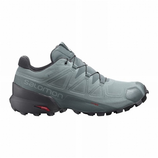 Salomon SPEEDCROSS 5 GORE-TEX Trailove Bezecke Tenisky Panske Zelene | 62780VIOM