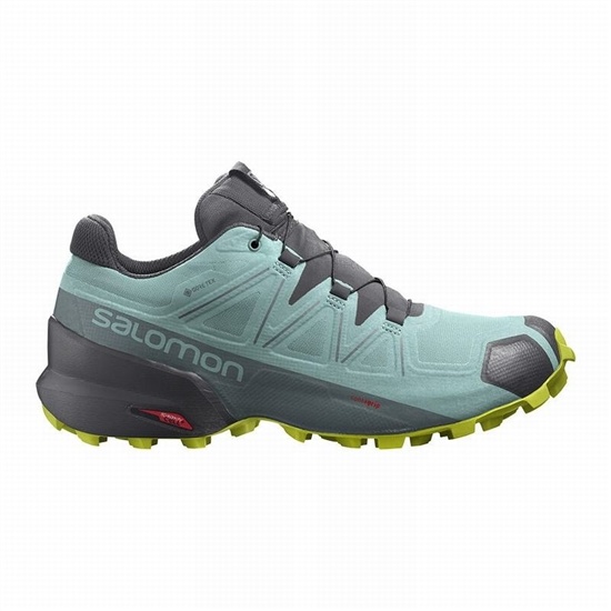 Salomon SPEEDCROSS 5 GORE-TEX Trailove Bezecke Tenisky Damske Tyrkysové / Tmavo Siva | 86973QCYF