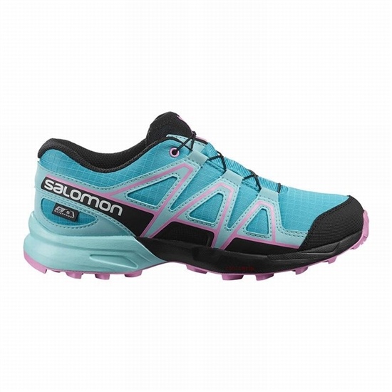 Salomon SPEEDCROSS CLIMASALOMON WATERPROOF Trailove Bezecke Tenisky Detske Modre / Hnede Tyrkysové |
