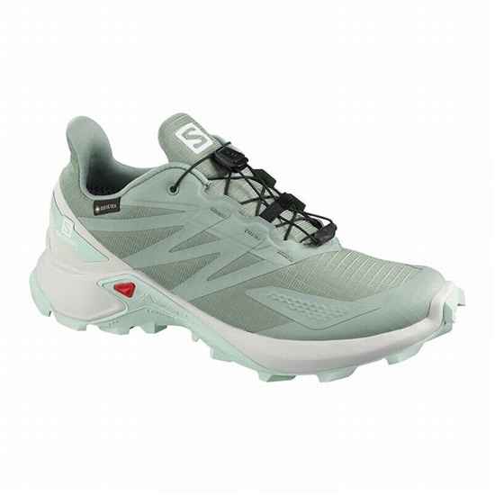 Salomon SUPERCROSS BLAST GTX W Trailove Bezecke Tenisky Damske Zelene | 09534JQOP