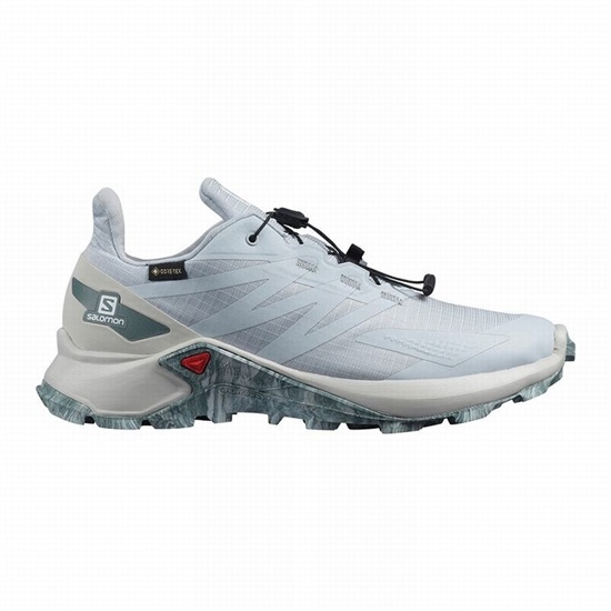 Salomon SUPERCROSS BLAST GTX W Trailove Bezecke Tenisky Damske Siva | 19324QGNJ