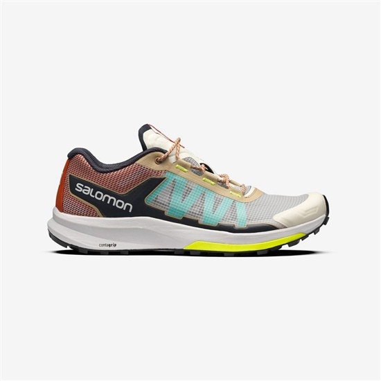 Salomon ULTRA RAID Tenisky Panske Viacfarebný | 98263ZXEW