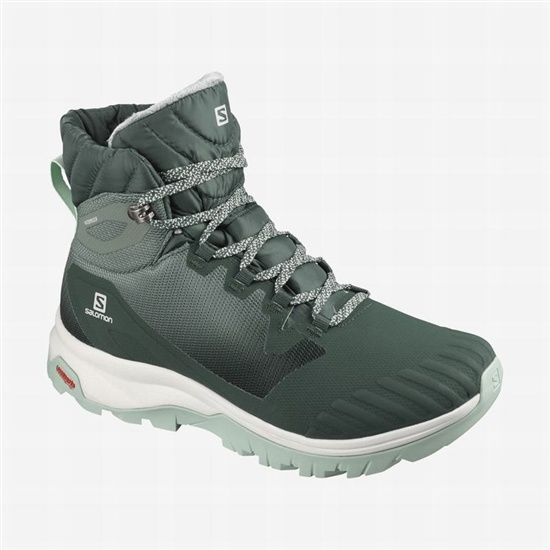 Salomon VAYA BLAZE THINSULATE CLIMASALOMON WATERPROOF Zimne Topanky Damske Zelene | 90745XNZK