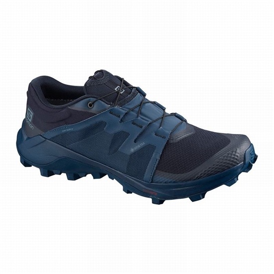 Salomon WILDCROSS GTX Trailove Bezecke Tenisky Panske Námornícka Modrá | 58794UQIH