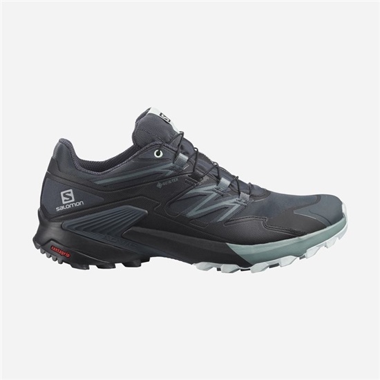 Salomon WINGS SKY GORE-TEX Trailove Bezecke Tenisky Damske Siva / Modre | 20348NFGP