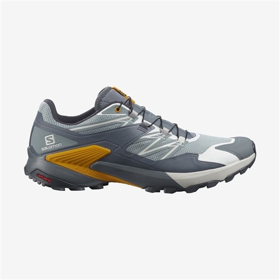 Salomon WINGS SKY Trailove Bezecke Tenisky Panske Slategray | 60579VLXC