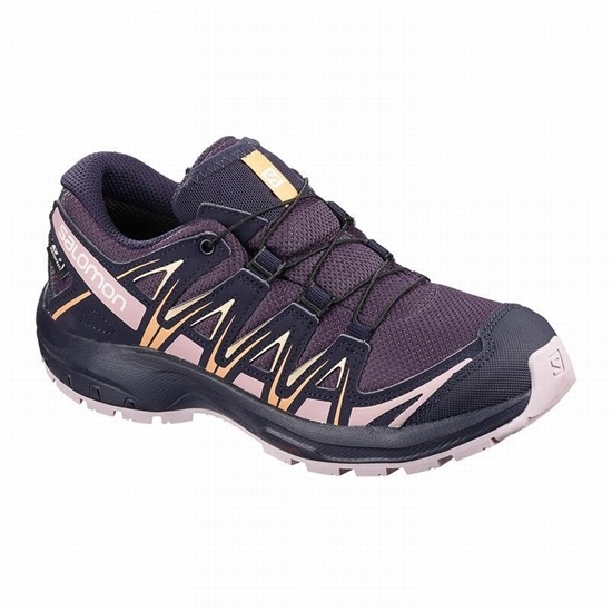 Salomon XA PRO 3D CLIMASALOMON WATERPROOF Turisticke Topanky Detske Nachový / Modre | 62985QVLR