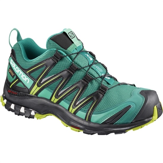 Salomon XA PRO 3D GTX W Trailove Bezecke Tenisky Damske Zelene | 27091FXIO