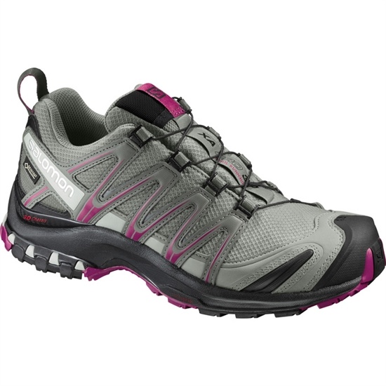 Salomon XA PRO 3D GTX W Trailove Bezecke Tenisky Damske Strieborne | 28051TMBX