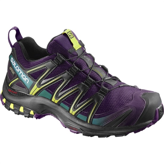 Salomon XA PRO 3D GTX W Trailove Bezecke Tenisky Damske Nachový / Čierne | 71684TCOW