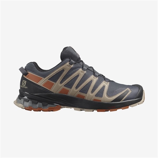 Salomon XA PRO 3D V8 GORE-TEX Trailove Bezecke Tenisky Panske Viacfarebný | 23517DQGE
