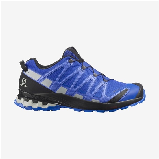 Salomon XA PRO 3D V8 GORE-TEX Trailove Bezecke Tenisky Panske Modre | 35290JTXY