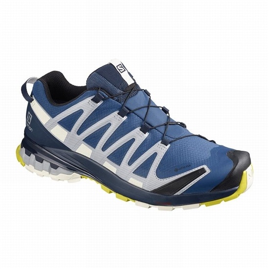 Salomon XA PRO 3D V8 GORE-TEX Trailove Bezecke Tenisky Panske Námornícka Modrá | 47639YKPR