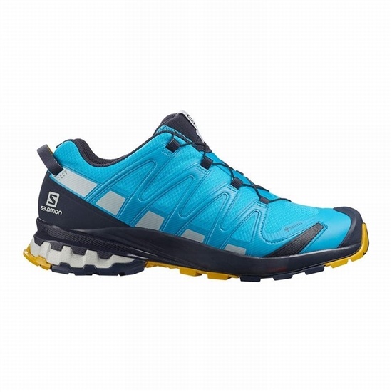 Salomon XA PRO 3D V8 GORE-TEX Trailove Bezecke Tenisky Panske Modre | 86592JWKM