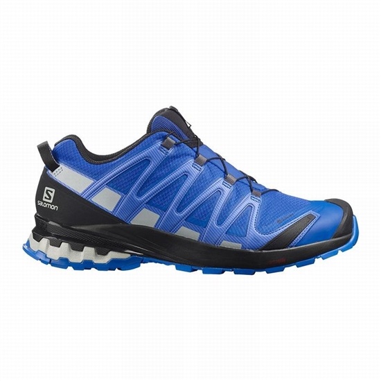 Salomon XA PRO 3D V8 GORE-TEX Trailove Bezecke Tenisky Panske Čierne / Modre | 98627SJFV