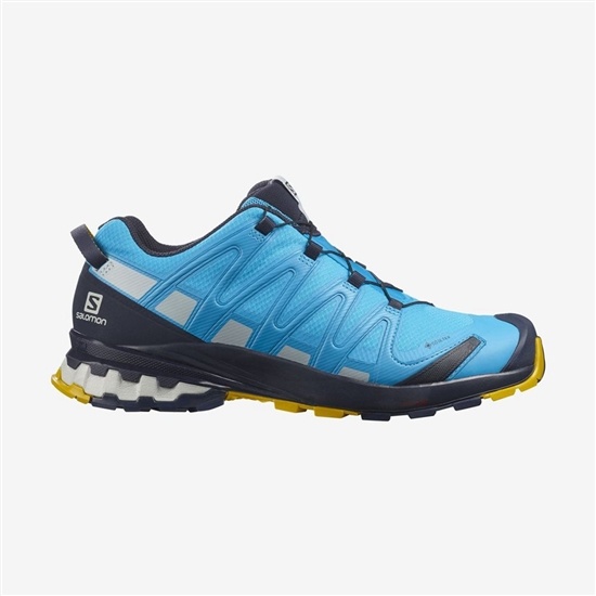 Salomon XA PRO 3D V8 GORE-TEX Turisticke Topanky Panske Modre | 36052LZMB