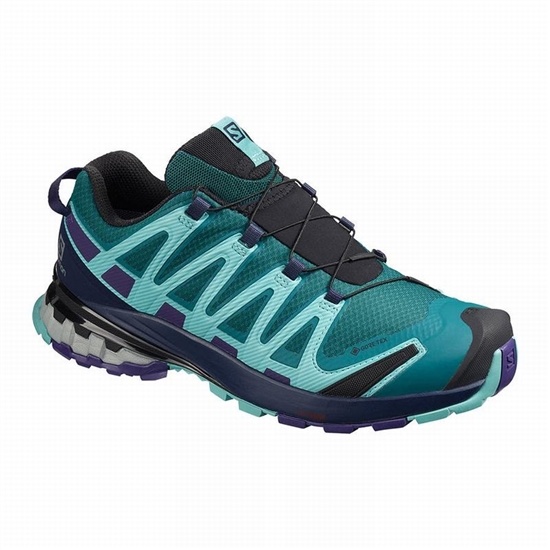 Salomon XA PRO 3D V8 GORE-TEX Turisticke Topanky Damske Modre | 85624FVGH
