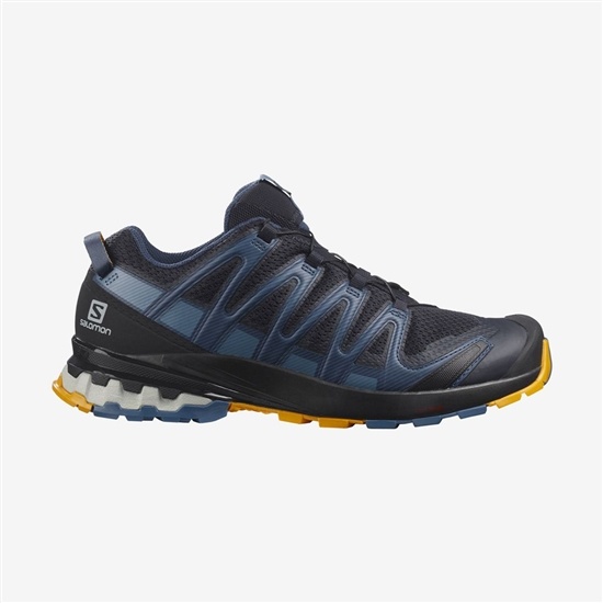 Salomon XA PRO 3D V8 Trailove Bezecke Tenisky Panske Tmavo | 76815RENX