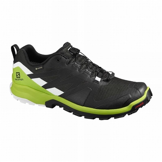 Salomon XA ROGG GTX Trailove Bezecke Tenisky Panske Ruzove | 07592CRKG