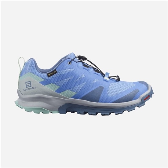 Salomon XA ROGG GTX W Trailove Bezecke Tenisky Damske Modre | 36957MZTJ