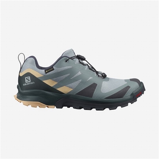 Salomon XA ROGG GTX W Trailove Bezecke Tenisky Damske Zelene / Krém | 73896LMPZ