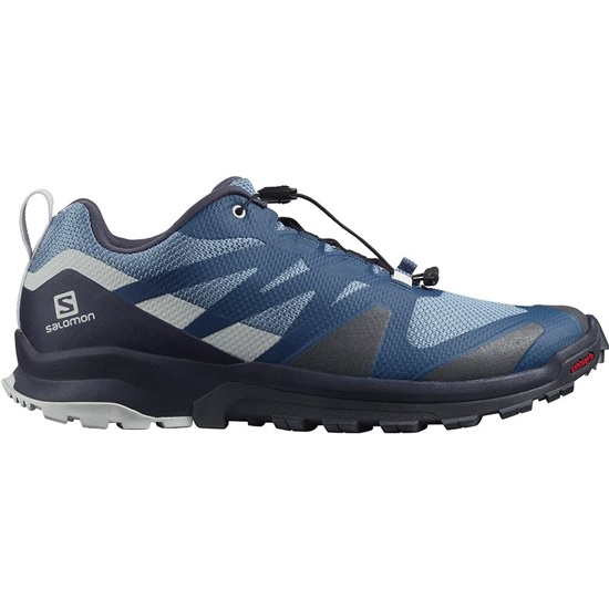 Salomon XA ROGG Trailove Bezecke Tenisky Panske Modre | 35741FXNK