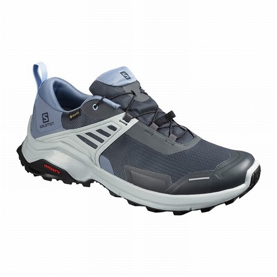 Salomon X RAISE GORE-TEX Turisticke Topanky Panske Siva / Modre | 30985DUEP