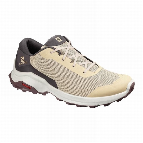 Salomon X REVEAL Turisticke Topanky Panske Hnede | 46127FMHB
